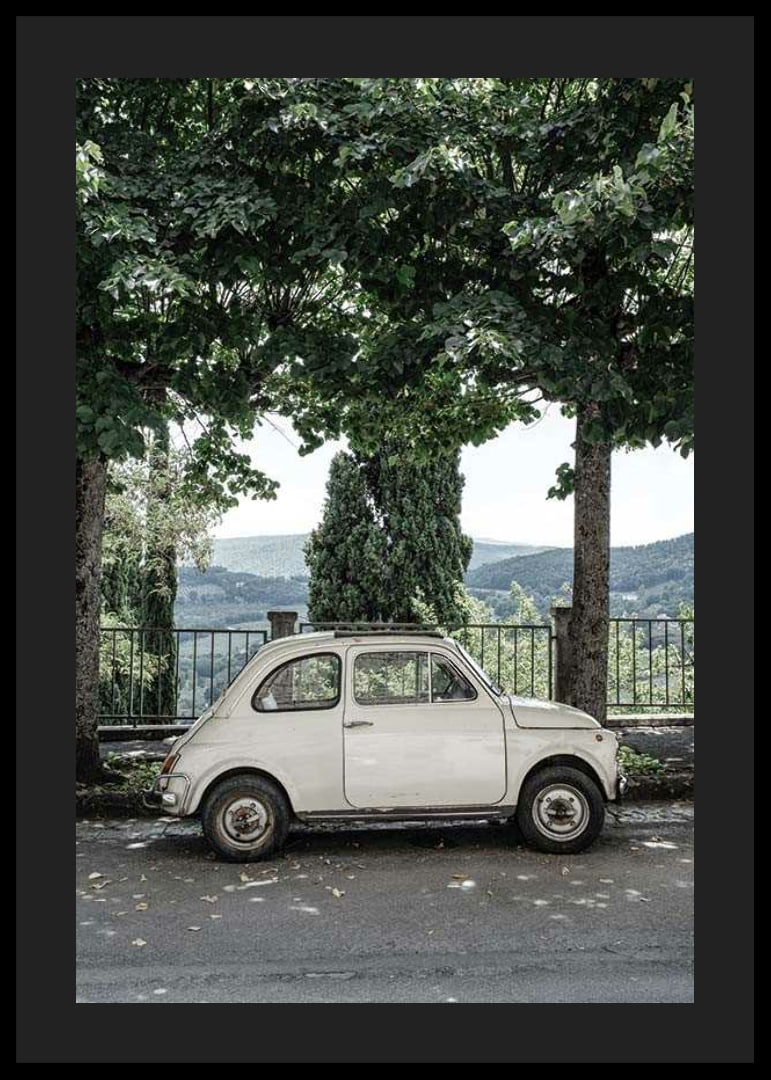 Photograph of white vintage car parked under green trees-12