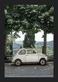 Photograph of white vintage car parked under green trees-5