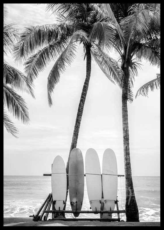 Black and white photo of surfboards against palm trees and ocean-12