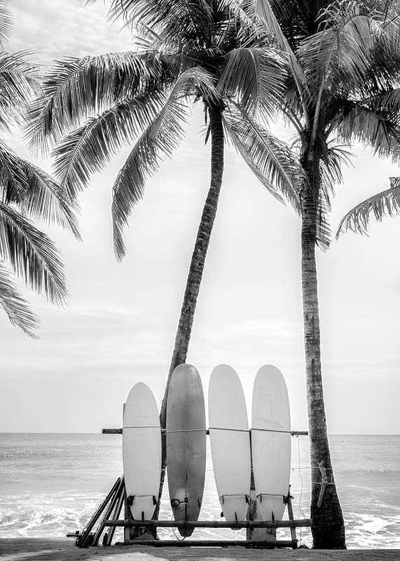 Black and white photo of surfboards against palm trees and ocean-12
