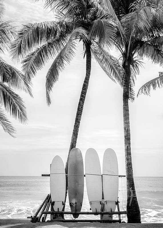 Surfing Boards On Beach-12