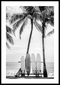 Surfing Boards On Beach-0