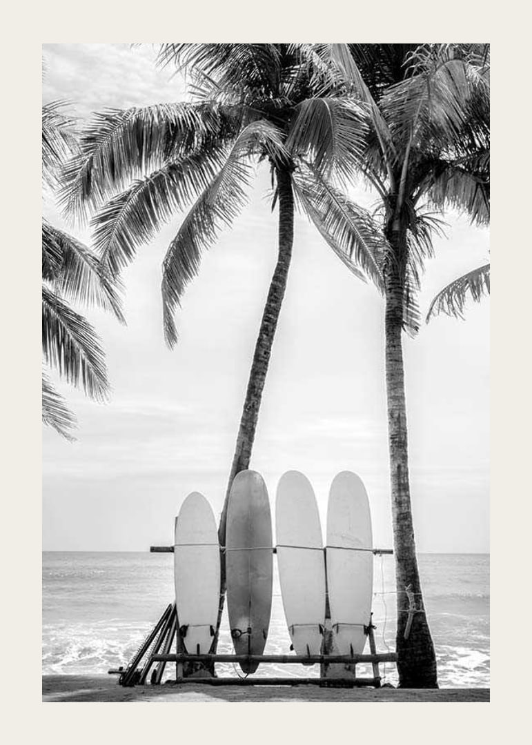 Black and white photo of surfboards against palm trees and ocean-12