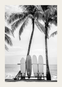 Svartvitt foto av surfbrädor mot palmträd och hav-3