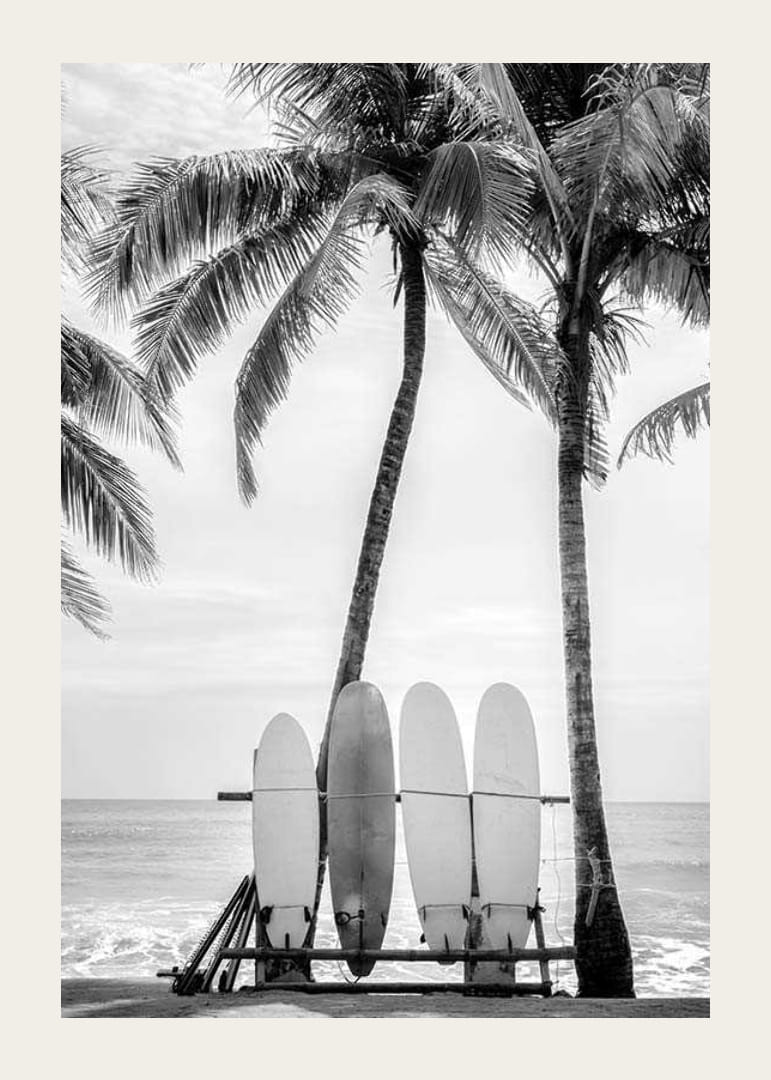 Svartvitt foto av surfbrädor mot palmträd och hav-12