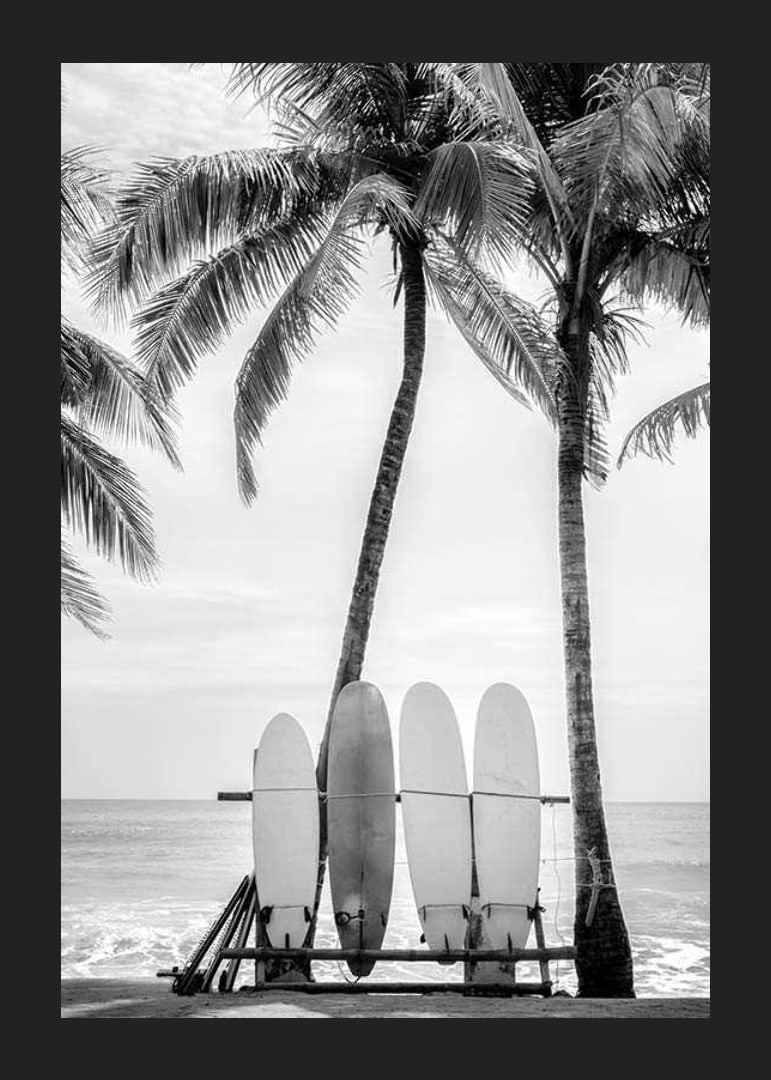 Black and white photo of surfboards against palm trees and ocean-12