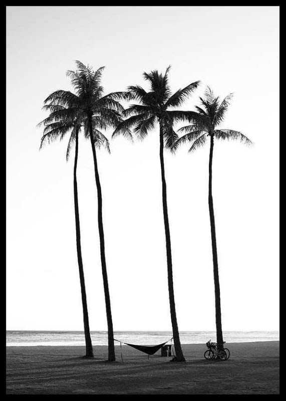 Black and white beach scene with tall palm trees, hammock and bicycle-12