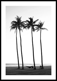 Black and white beach scene with tall palm trees, hammock and bicycle-0
