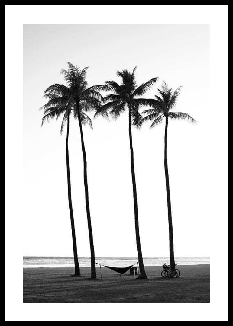 Black and white beach scene with tall palm trees, hammock and bicycle-12