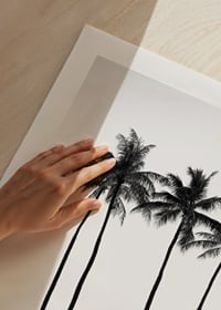 Black and white beach scene with tall palm trees, hammock and bicycle-9