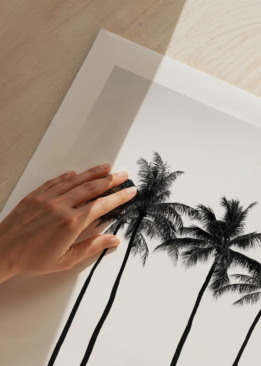 Black and white beach scene with tall palm trees, hammock and bicycle-12