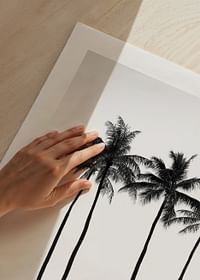 Palms On Beach-5