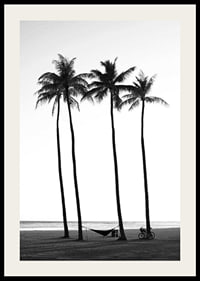 Black and white beach scene with tall palm trees, hammock and bicycle-2