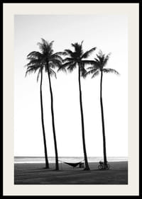 Svartvit strandscen med höga palmer, hängmatta och cykel-2