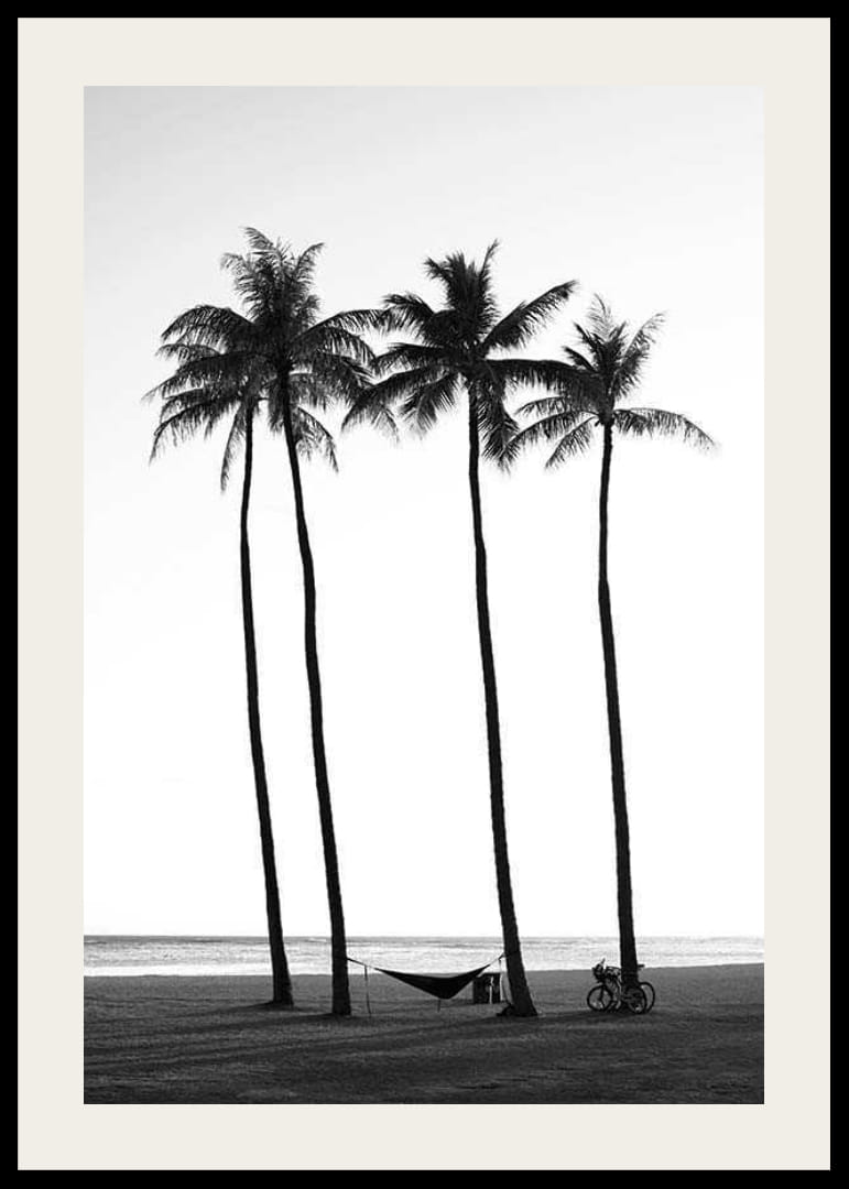 Svartvit strandscen med höga palmer, hängmatta och cykel-12