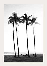 Black and white beach scene with tall palm trees, hammock and bicycle-3