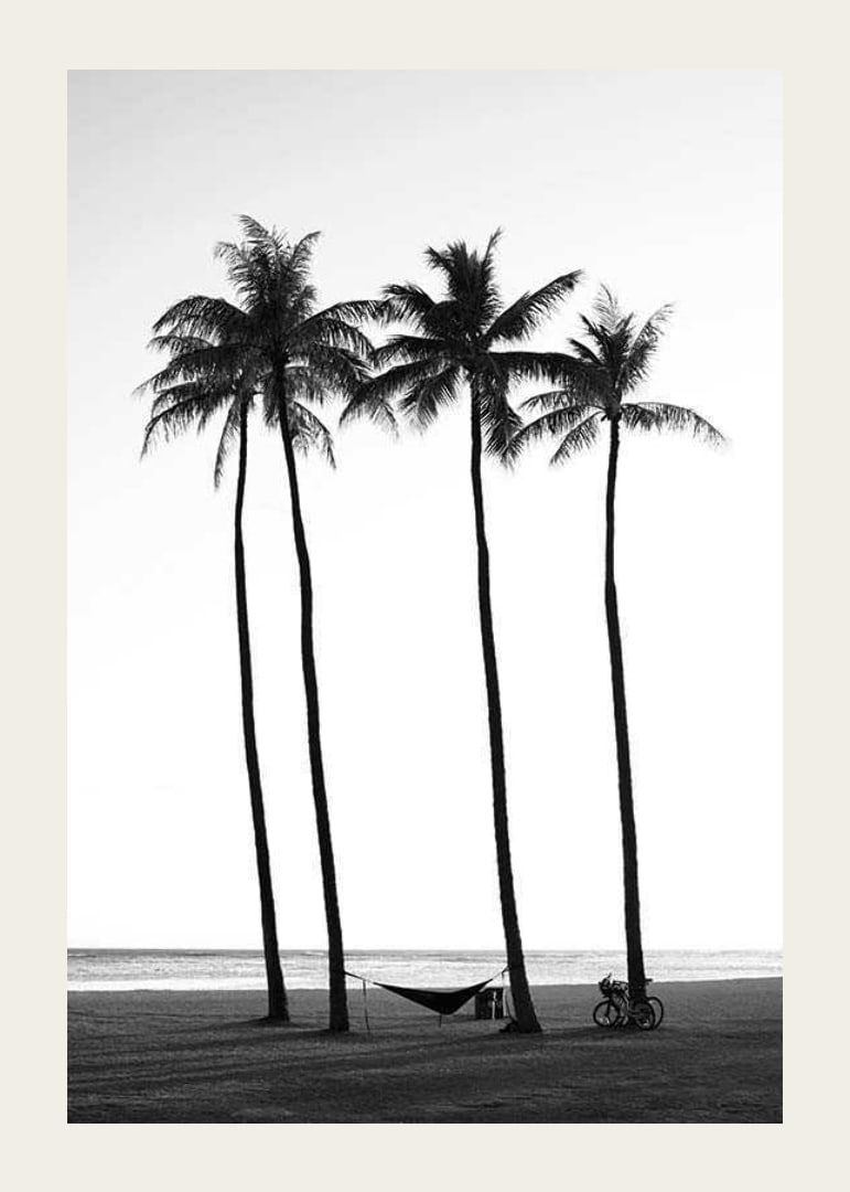 Black and white beach scene with tall palm trees, hammock and bicycle-12