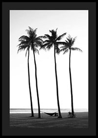 Black and white beach scene with tall palm trees, hammock and bicycle-4