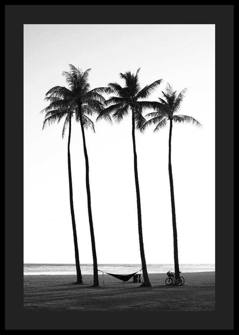 Black and white beach scene with tall palm trees, hammock and bicycle-12
