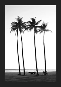 Black and white beach scene with tall palm trees, hammock and bicycle-5