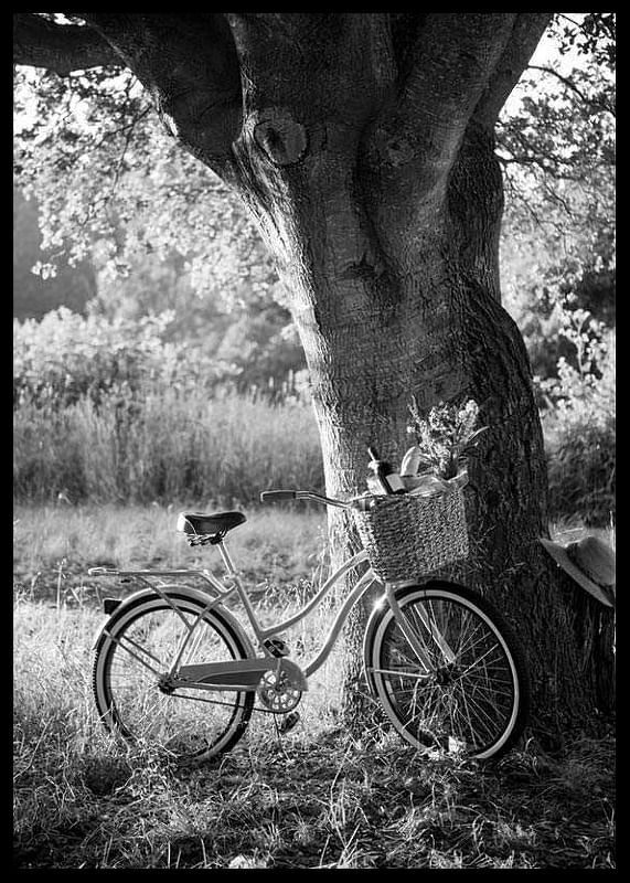 Bicycle With Picknick Basket-12