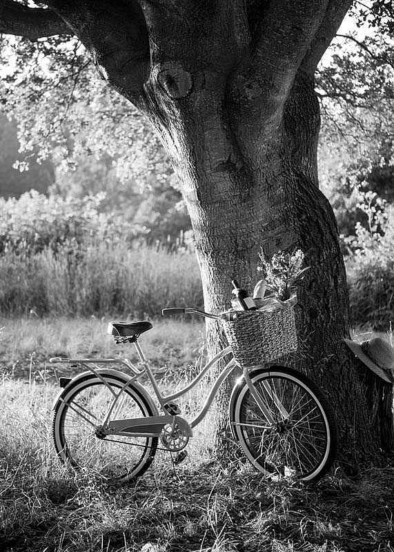 Bicycle With Picknick Basket-12