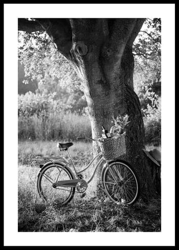 Poster Bicycle With Picknick Basket