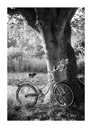 Poster Bicycle With Picknick Basket