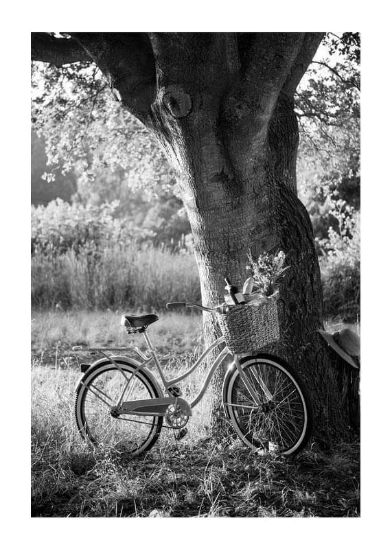 Plagát Bicycle With Picknick Basket