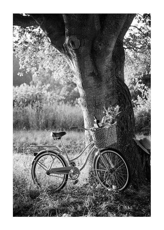 Bicycle With Picknick Basket-12