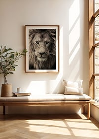 Close-up of male lion with powerful mane in neutral tones-8