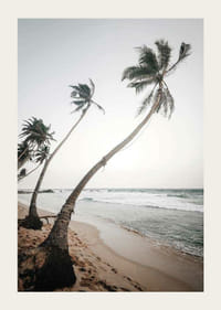 Fotografische palmbomen aan zee op zandstrand in zachte tinten-3