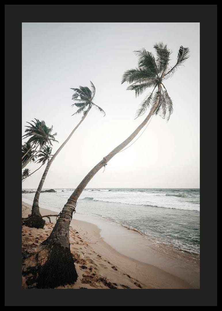 Fotografische palmbomen aan zee op zandstrand in zachte tinten-12
