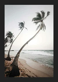 Photographic palm trees by the sea on sandy beach in soft tones-5