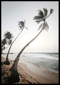 Photographic palm trees by the sea on sandy beach in soft tones-6