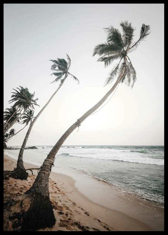 Photographic palm trees by the sea on sandy beach in soft tones-12