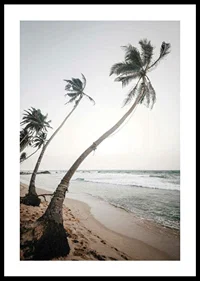 Photographic palm trees by the sea on sandy beach in soft tones-0