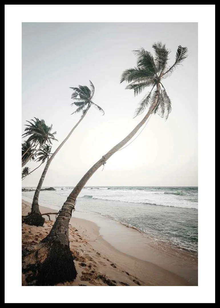 Photographic palm trees by the sea on sandy beach in soft tones-12