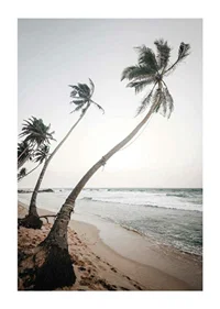Photographic palm trees by the sea on sandy beach in soft tones-1