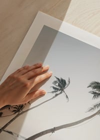 Palmieri fotografici lângă mare pe plaja cu nisip în tonuri moi-9