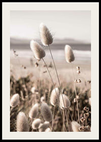 Close-up of soft beige grass blades against blurred beach background-2