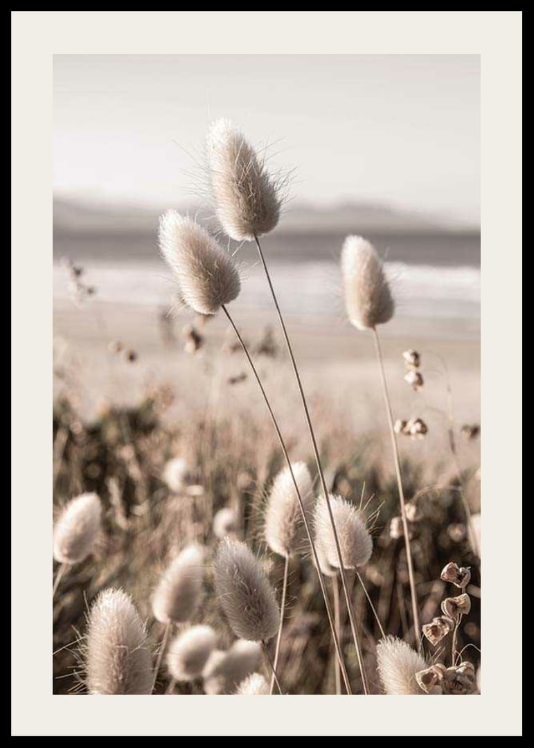 Close-up of soft beige grass blades against blurred beach background-12