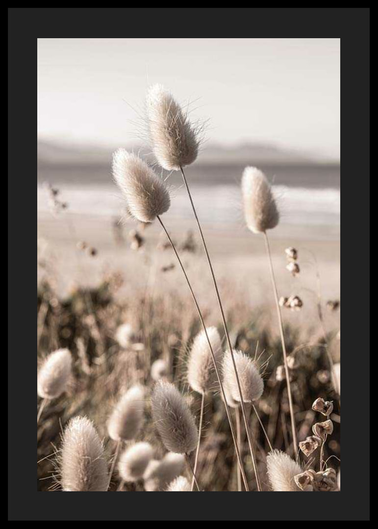 Close-up of soft beige grass blades against blurred beach background-12