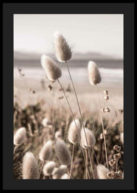 Zbliżenie miękkich beżowych źdźbeł trawy na rozmytym tle plaży-4