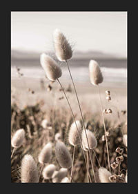 Close-up of soft beige grass blades against blurred beach background-5