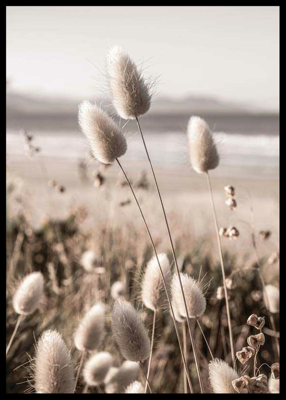 Close-up of soft beige grass blades against blurred beach background-12