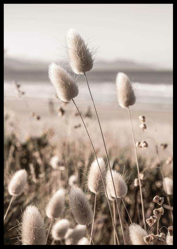 Soft Grass-12