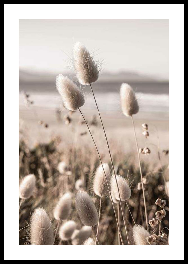 Close-up of soft beige grass blades against blurred beach background-12