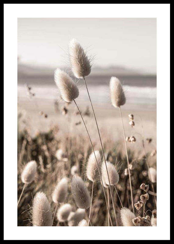 Soft Grass-12