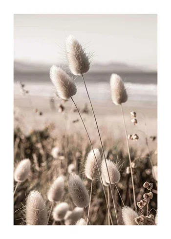 Poster Soft Grass